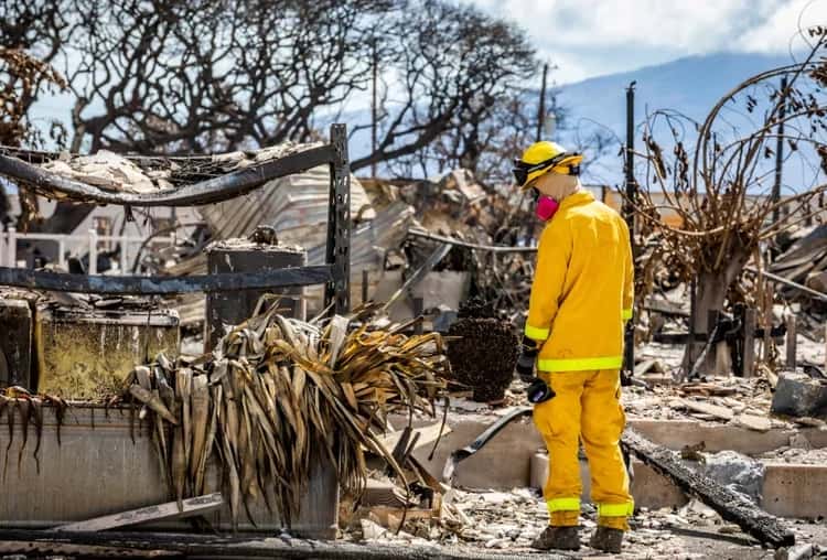E.E.U.U.: Biden viaja a Hawaii tras uno de los incendios más mortíferos de la historia