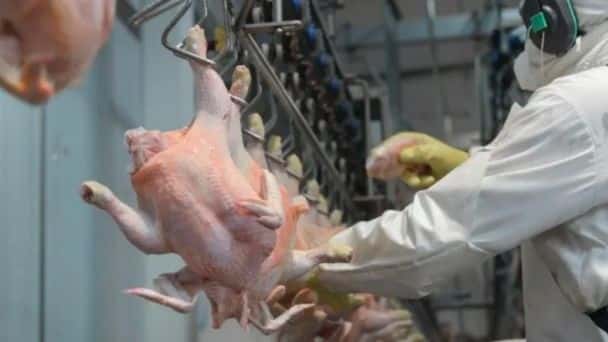 Carne aviar a Corea del Sur