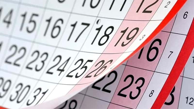 Cuántos feriados son para el próximo año y cuándo hay fin de semana largo en enero