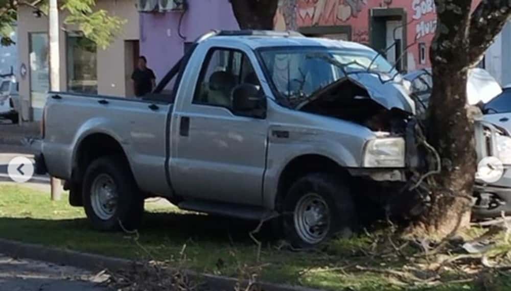 Tremendo choque de una camioneta contra un árbol en Luis N. Palma
