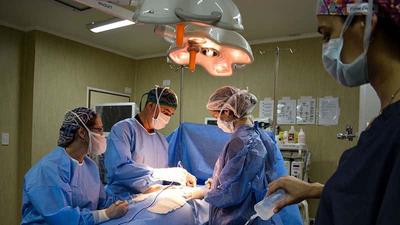 Cuatro pacientes accederán a trasplantes luego de una donación de órganos en Colón