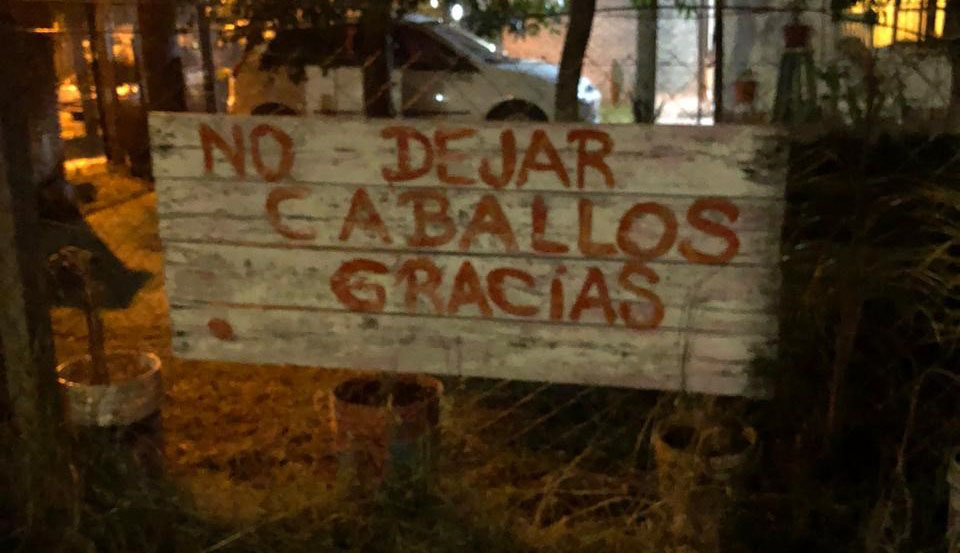 Pueblo Belgrano: vecinos reclaman por daños que ocasionan caballos en la vía pública