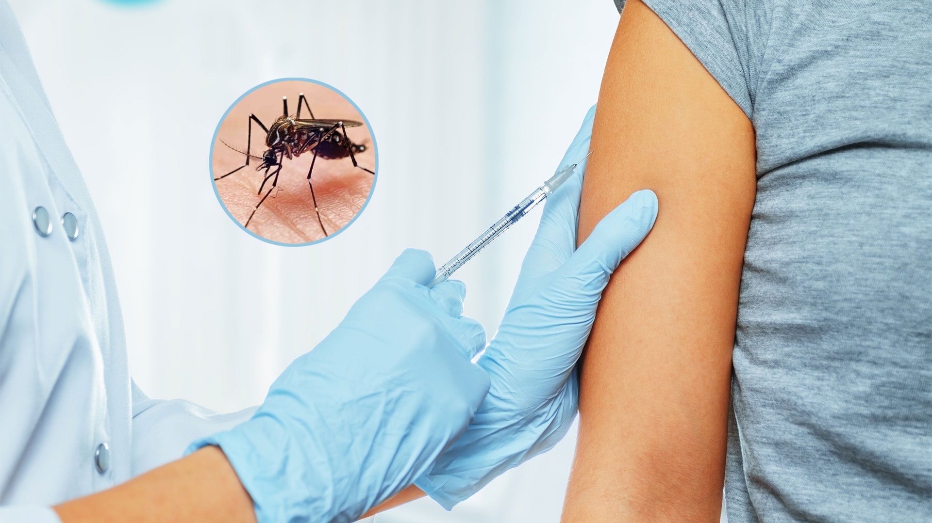 Vacunas contra el dengue, ¿cuáles son y qué hay en Argentina? Diario