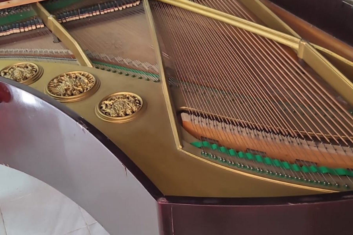 Un piano Rönisch llegó al Teatro Gualeguaychú a través de una donación